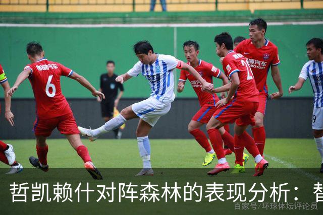 哲凯赖什对阵森林的表现分析：替补上场却数据寥寥